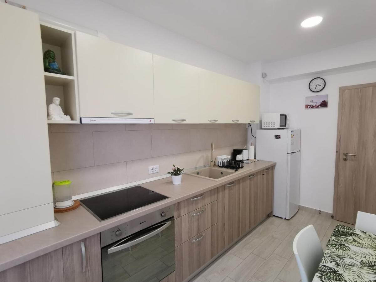 Apartment Adelina Braşov Dış mekan fotoğraf